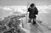 Abraham Arnaqaq sets a net along a crack in the ice to catch seal. He anchors the net by tying it to a block of ice over which he pours sea water to freeze it solidly in place. A brilliant yet simple ancient technique. (temp: -40degC): by nobarriersphotography_com, Views[551]