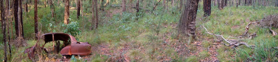 an old car Wombat state Forest