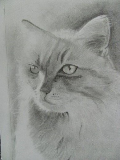 First pencil drawing