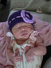 by nomad_kiwis, Views[525]