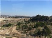 Old Gold tailings right in the city: by nomad_kiwis, Views[758]