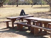 second one - a baboon decided to join us for lunch: by nomad_kiwis, Views[403]