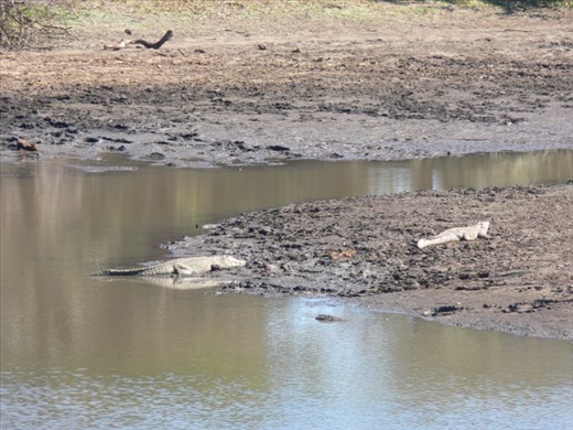 Not swimming here...