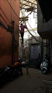 by nomad_kiwis, Views[474]