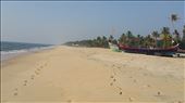 Mararikulam: by nomad_kiwis, Views[311]