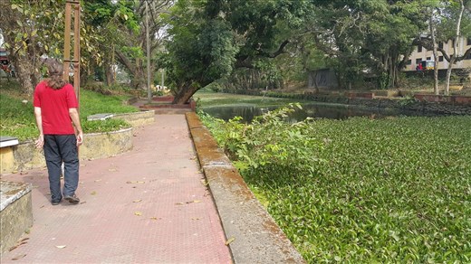The canals, once beautiful, in Alappazha