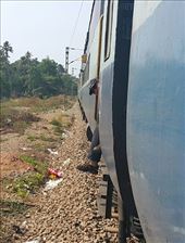 Kent on the train: by nomad_kiwis, Views[351]