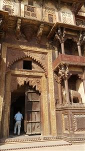 by nomad_kiwis, Views[372]