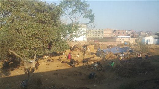 Life beside the tracks