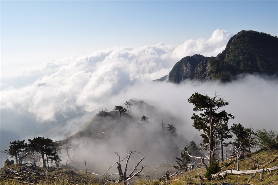 After several hours of trekking we arrived in the higher place in the end! the sight was SPECTACULAR! sometimes there was lots of fog, and the other mountains seemed to be floating in the air like Pandora's mountains in the famous movie 