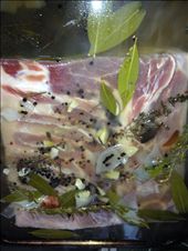 Brining of the Pork Belly: by nomadicchef17, Views[267]