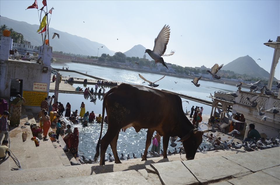 Bathing in the holy waters of Lake Pushkar to wash away Life's sins