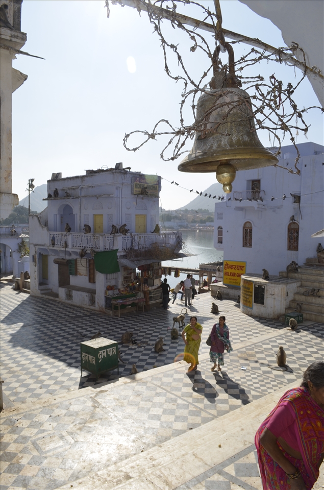 Inspite of the prickly Iron thorns -the bell chimes sweetly.Welcome to Pushkar.