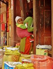 Vantage Point: by nomadita57, Views[277]