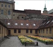 by nomadjade, Views[197]