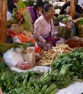 by nomads-news, Views[80]