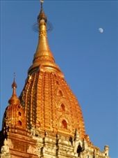 by nomads-news, Views[107]