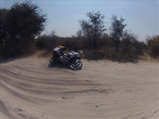 Fallen in the soft sand of Northern Botswana :)