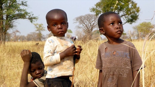 beautiful faces of children in the bush