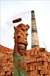brick kilns emit toxic fumes which are harmful to eye, lungs and throat: by noman, Views[263]