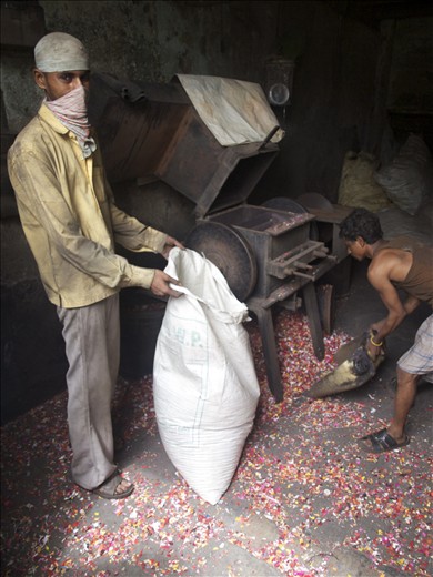 Dharavi's famed recycling industries. These men manually shred sorted plastics.