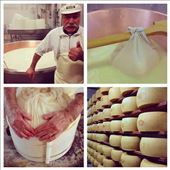 Witnessing the local cheesemaker create the “king of cheeses” in Bologna.: by noodles, Views[488]