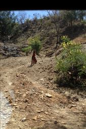 No Way out: by nopanic, Views[262]