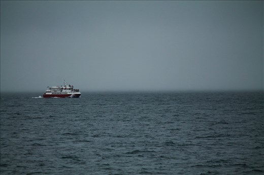 Tourists usually book small ships and leave for the Atlantic to observe whales.