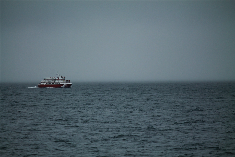 Tourists usually book small ships and leave for the Atlantic to observe whales.