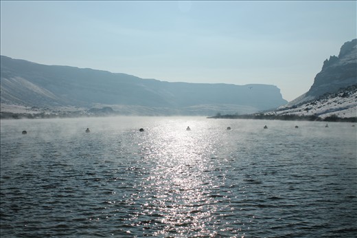 So cold out, but didn't want to go back home.