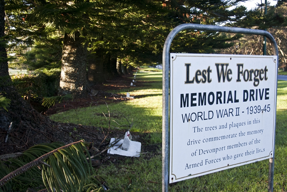 As one travels the one road into Devonport they pass two long lines of trees on both sides of the road. Each tree was planted for an individual member of Devonport who gave their life during the war.  In front of each tree is a small white block with a copper plaque that has World War 2 inscribed along the top and the members name at the bottom. Shot at F5, shutter speed of 1/10sec, I.S.O 400mm with a focal length of 28mm.