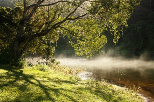 Early morning sunrise over misty lake Tinaroo