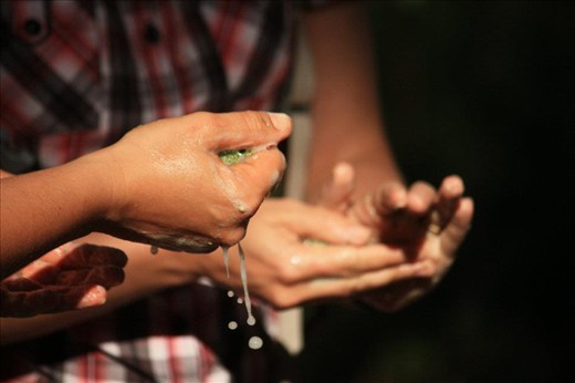 Crushed leaves of soapbush, natures antiseptic