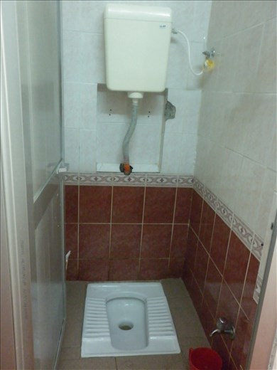 Esta es la mejor forma de cagar para el ser humano: en cuclillas. Sudé y harto