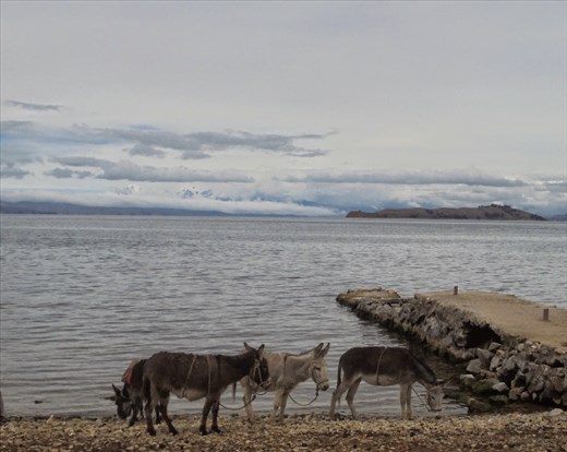 Lago Titcaca en la isla del Sol