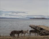 Lago Titcaca en la isla del Sol: by nortina, Views[261]