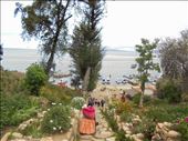 Camino de las flores en la isla del Sol: by nortina, Views[468]