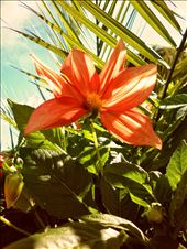 by nortina, Views[258]