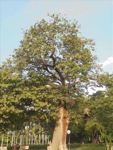 Quinta San Pedro Alejandrino - Santa Marta