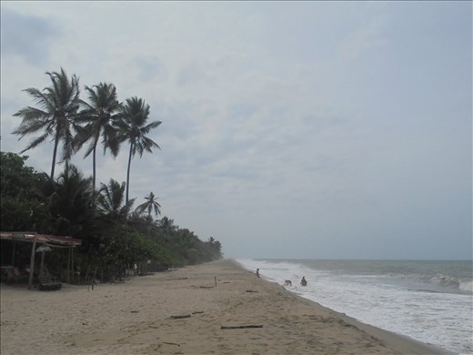 Palomino, La Guajira