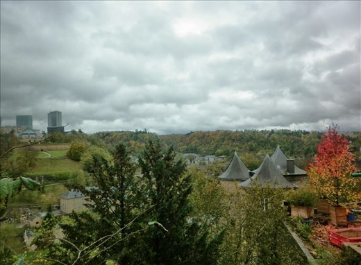 Árbol de los siete colores, me sentía como Ángel.