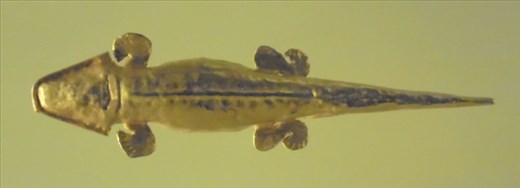 Muchas formas de animalitos de la zona