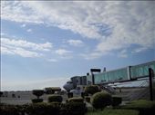 VivaAerobus 737, Culiacan Airport: by nosoygringo, Views[334]