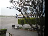 Tails of Aeromexico 737 and Volaris A319, Tijuana Rodriguez Airport: by nosoygringo, Views[303]