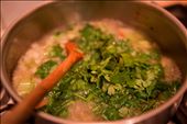 Add stock to the base ingredients then fresh coriander: by notimefortravel, Views[258]