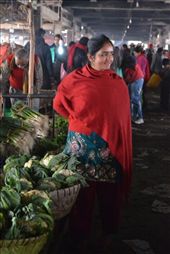 by notyouraveragetourist, Views[143]