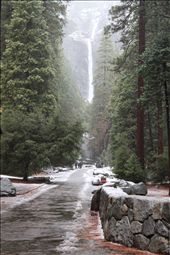 This is the first thing I headed to in Yosemite, the Natural falls!: by noury, Views[249]