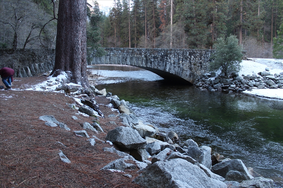  Then I had a walk at Merced river with its beautiful bridge.