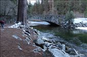  Then I had a walk at Merced river with its beautiful bridge.: by noury, Views[259]