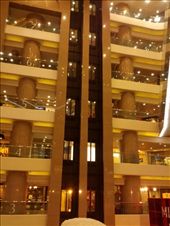 by novalex, Views[109]